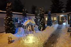 WhatsApp-Image-2026-01-20-at-22.03.05-1