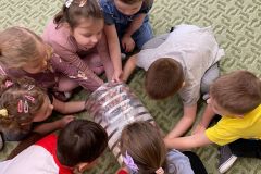 WhatsApp-Image-2026-02-24-at-10.28.31