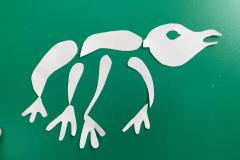 WhatsApp-Image-2026-02-26-at-13.19.34