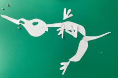 WhatsApp-Image-2026-02-26-at-13.19.38-2