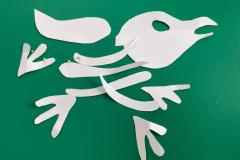 WhatsApp-Image-2026-02-26-at-13.19.38