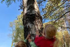 IMG-20241115-WA0025