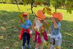 IMG-20241115-WA0026
