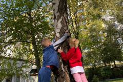 IMG-20241115-WA0027