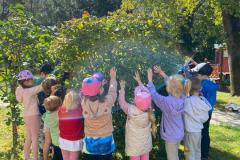 IMG-20241115-WA0028
