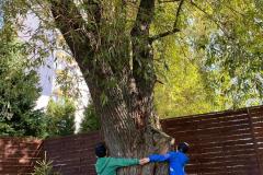 IMG-20241115-WA0029
