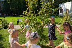 IMG-20250929-WA0003
