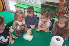 IMG-20250928-WA0049