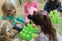IMG-20250223-WA0006