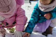 IMG-20250324-WA0009