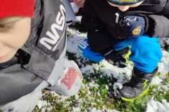 IMG-20250324-WA0011