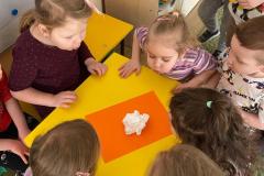 WhatsApp-Image-2026-02-03-at-17.16.10-2