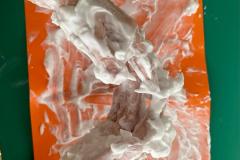 WhatsApp-Image-2026-02-03-at-17.16.11-4