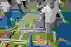 434421462_922415343222566_597398278737219770_n