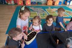 IMG-20250310-WA0001