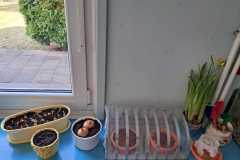 IMG-20250310-WA0015