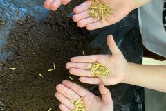 WhatsApp-Image-2026-02-24-at-10.28.29-1