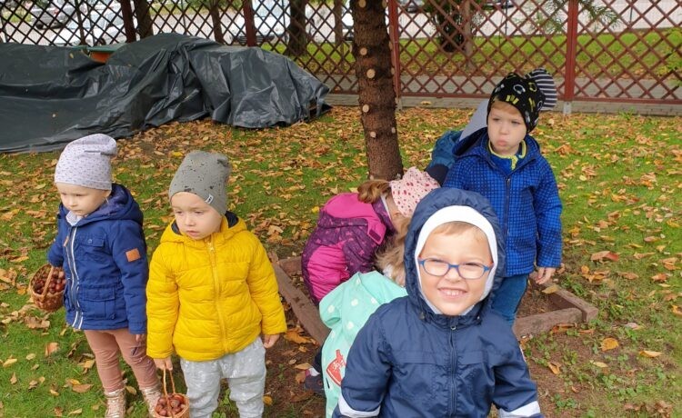 Chodźmy Krasnoludki do parku…    park ma dla dzieci wiele podarków. W głębokiej ciszy usłyszysz bieg myszy i spadający liść, zastuka dzięcioł,  kasztany, żołędzie zabrzęczą…