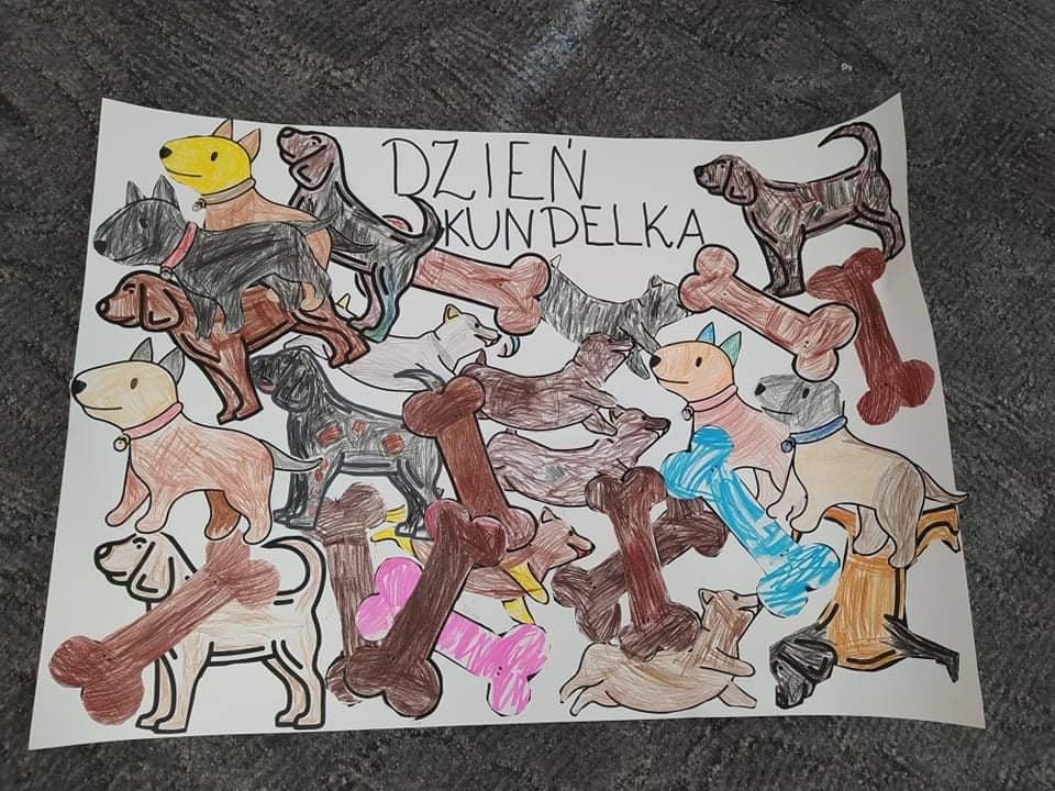 Kundel bury, kundel bury…świętujemy dzień naszych czworonożnych przyjaciół.