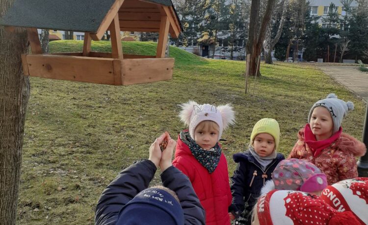 DOKARMIAMY PTAKI