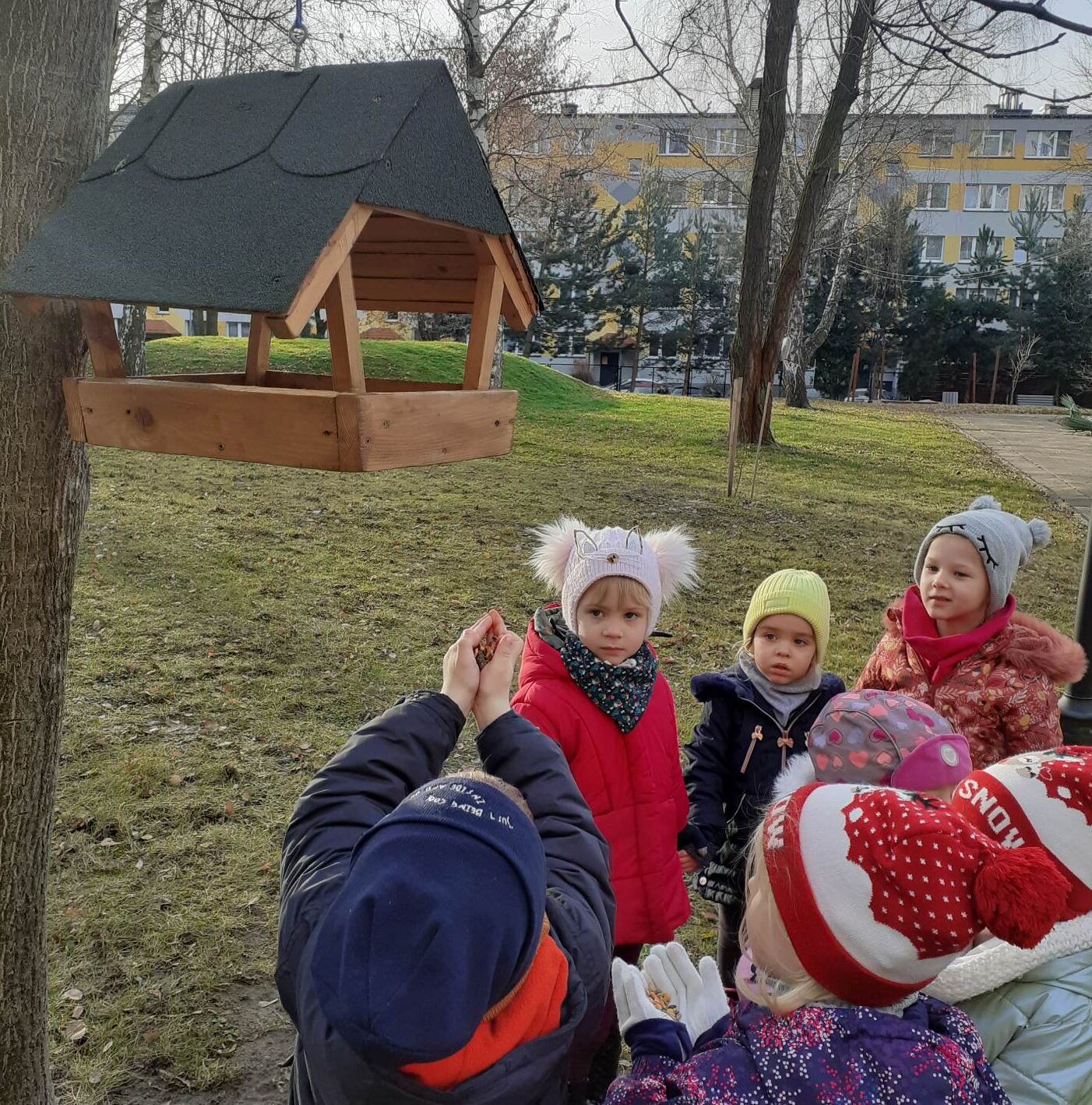 Zimą ptaki głodne są więc do karmników sypiemy ziarenka. Za to latem śpiewem nam podziękują.  