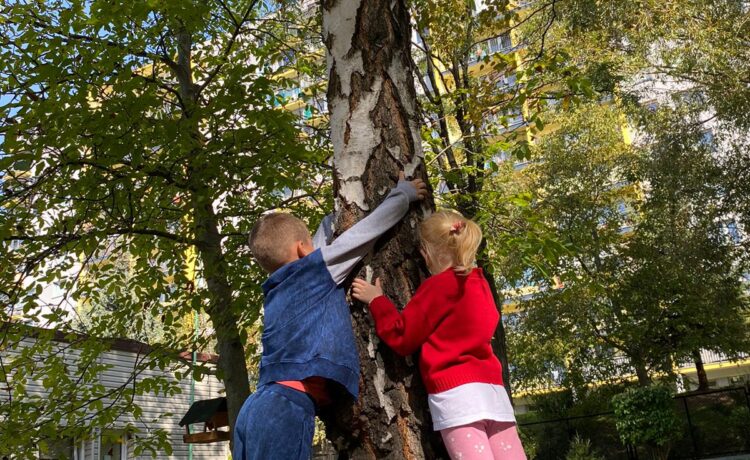 PRZYTUL SIĘ DO DRZEWA-DOŁĄCZYLIŚMY DO OGÓLNOPOLSKIEJ KAMPANII EDUKACYJNEJ