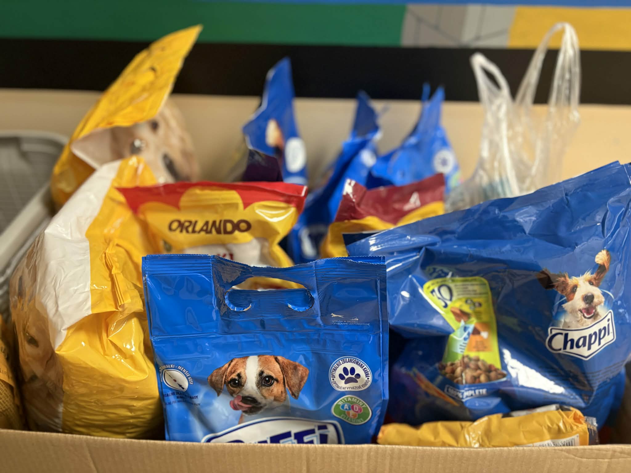 Dziękujemy, że razem z nami pomogliście bezdomnym psiakom. Zgromadzone dary są dla nich ogromnym wsparciem! &nbsp;