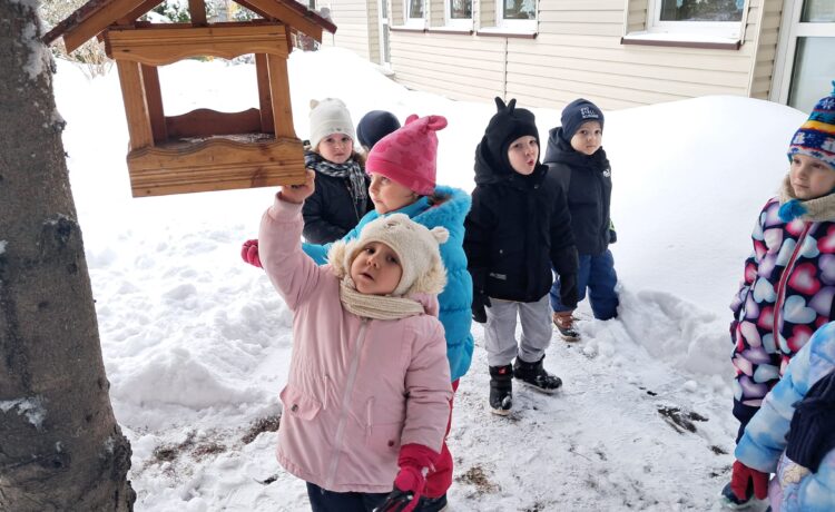 Pomagamy ptakom przetrwać zimę.