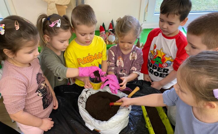 ZAKŁADAMY KACZUSZKOWY OGRÓDEK